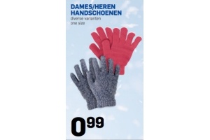 dames heren handschoenen