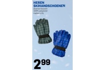 heren skihandschoenen