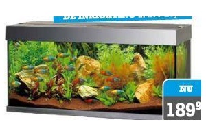 juwel aquarium rio 125