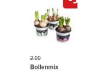 bollenmix