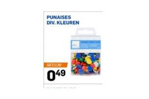 punaises div kleuren