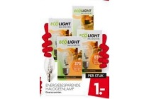 energiebesparende hallogeenlamp voor en euro 1 per stuk