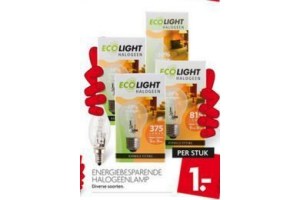 energiebesparende hallogeenlamp voor en euro 1 per stuk