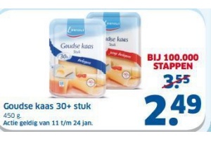 goudse kaas 30 stuk
