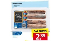 maatjesharing