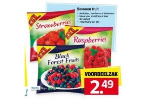 bevroren fruit