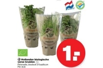 hollandse biologische verse kruiden