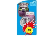 spaas geurpot xl