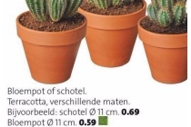 bloempot of schotel