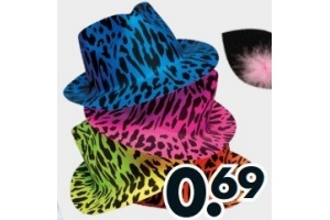 hoed diverse kleuren en euro 0 69