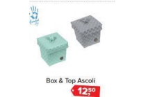 box en amp top ascoli