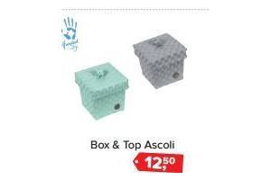 box en amp top ascoli