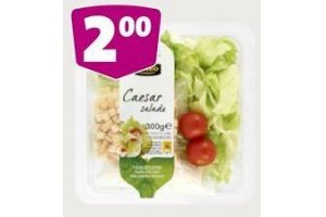 jumbo saladeschotels heks nkaas boeren caesar grieks of italiaans