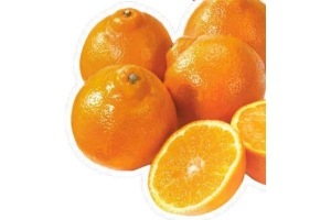 mineola mandarijnen