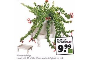 plantentafeltje