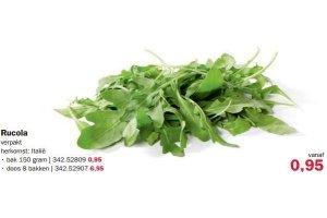 rucola