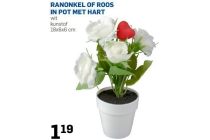 ranonkel of roos in pot met hart wit kunstof 18x6x6 cm