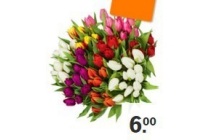 ah tulpen