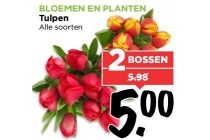 bloemen en planten