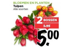 bloemen en planten