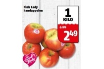 pink lady handappelen