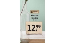 flesvaas ecoline 53 cm en euro 12 99