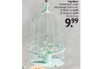 vogelkooi metaal excl potje met plantje ook in wit en oslash 23x38 cm en euro 12 99