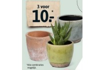 bloempotje keramiek terracotta of antic look met betonrandje per stuk en euro 3 99