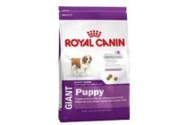 royal canin