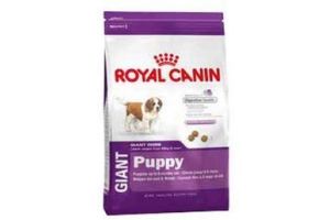 royal canin