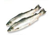 noorse zalm