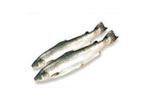 noorse zalm