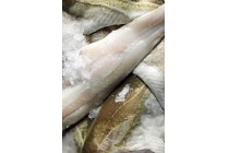 skrei kabeljauwfilet