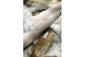 skrei kabeljauwfilet