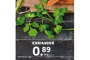 koriander