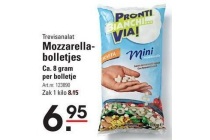 mozzarellabolletjes