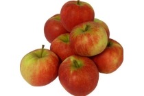 hollandse elstar appels