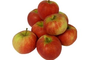 hollandse elstar appels