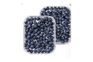 blauwe bessen