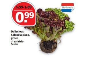 deliscious salanova rood groen of salatrio