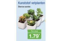 kunststof vetplanten