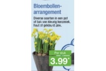 bloembollen arrangement