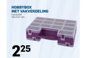 hobbybox met vakverdeling