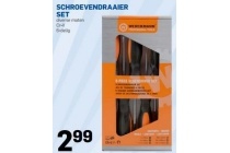 schroevendraaierset
