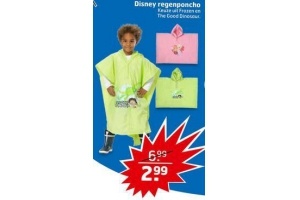 disney regenponcho