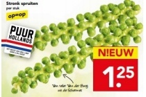 stronk spruiten