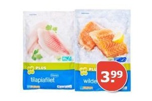 plus tilapia of zalmfilet