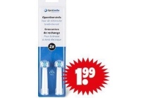 opzetborstels