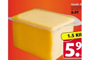 gouda 48 kaas jong belegen