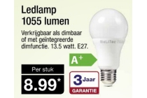 ledlamp 1055 lumen